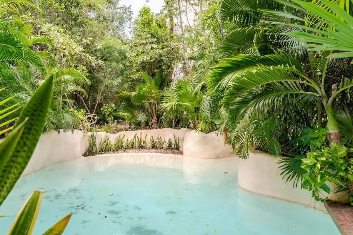 Estudio En Av. Coba Para 4 Personas Tulum